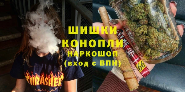 амф Каменка