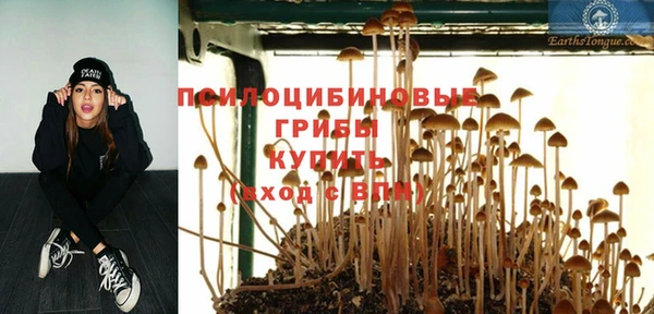 МДМА Каменногорск