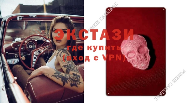 амф Каменка