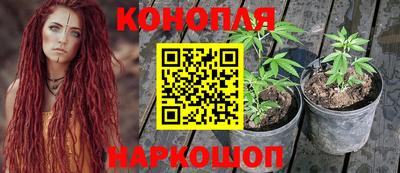 jwh Краснодар