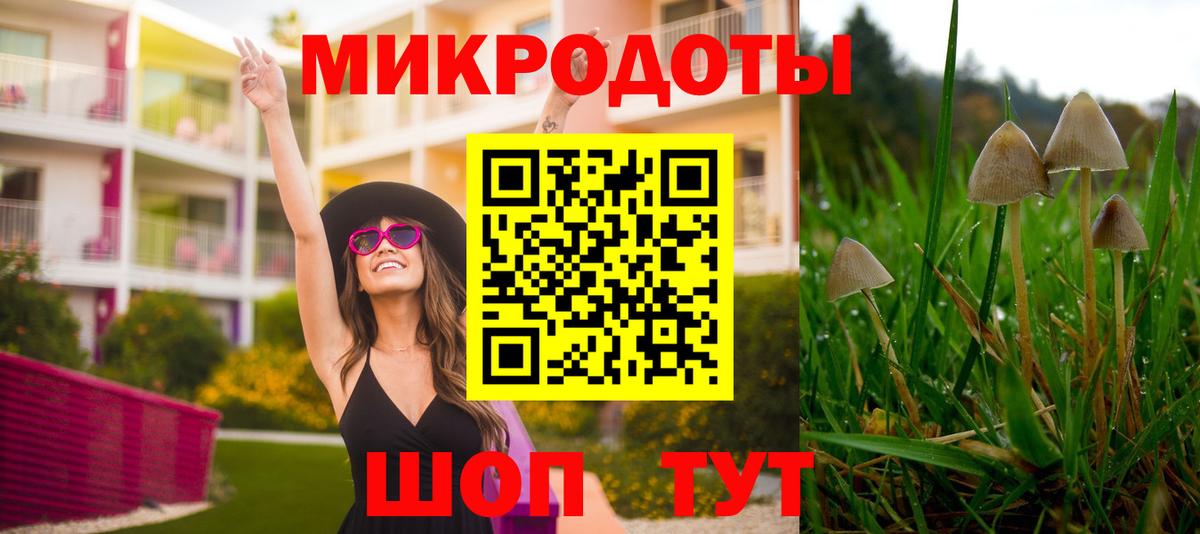 что такое наркотик  Вход с VPN  Петропавловск-Камчатский  Галлюциногенные грибы ЛСД 