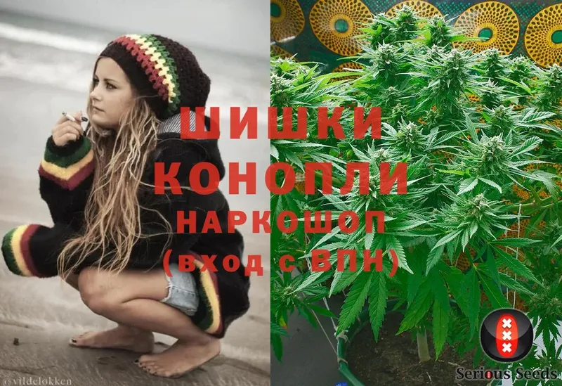 Бошки Шишки Ganja  где купить наркоту  Петропавловск-Камчатский 